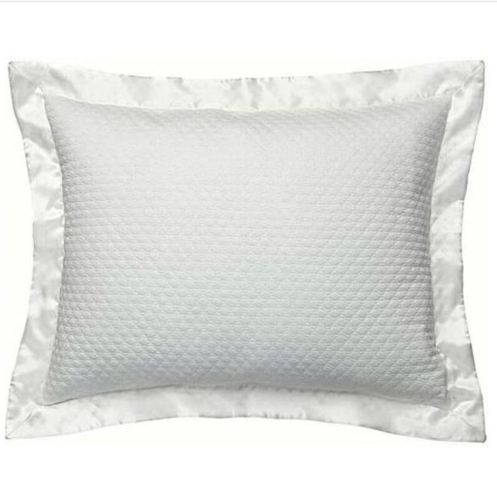 Two HUGO BOSS Luxury Ovals Pearl White Cotton Silk Border STANDARD Sham Set 2pc
